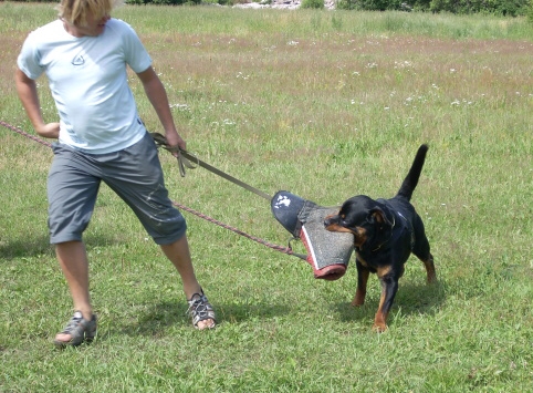 Training in Estonia 6/2007